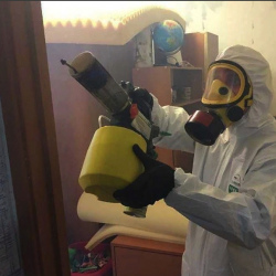 Уничтожение клопов в квартире. Октябрьск